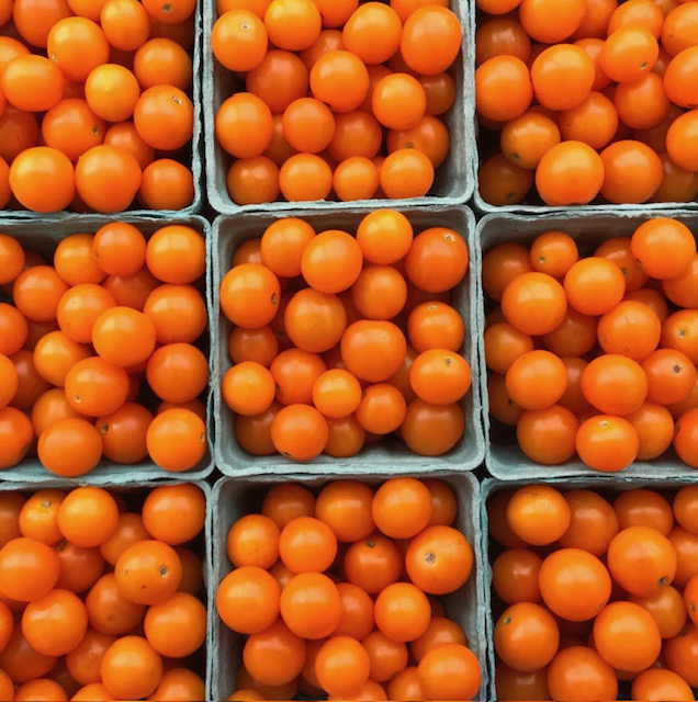 Rows of punnets of bright cherry tomatoes